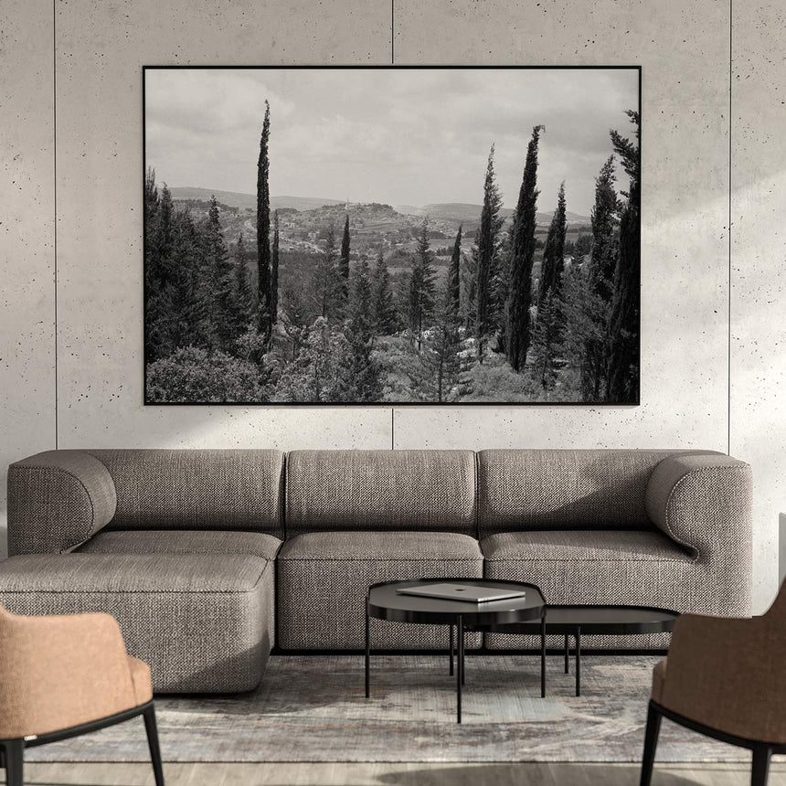 Forest in your living room