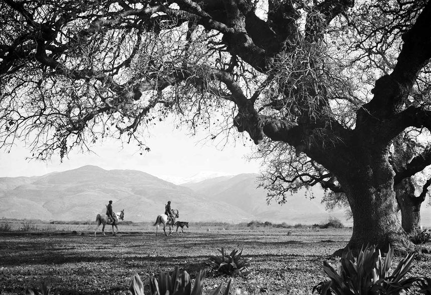 Riding to Kibbutz Dafna