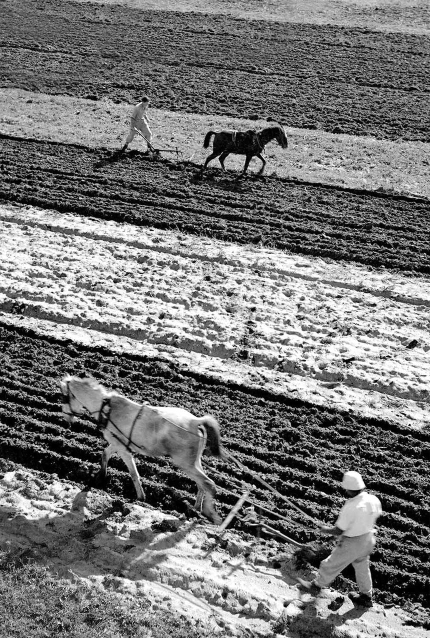Plowing the land