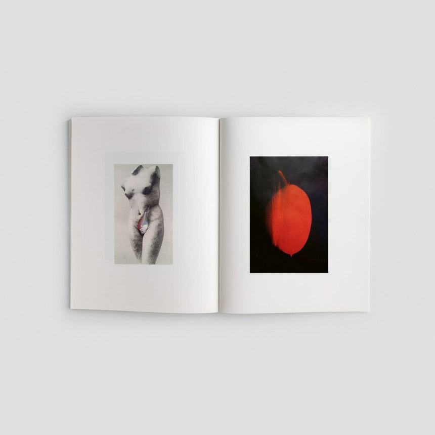 Book: Study for Woman