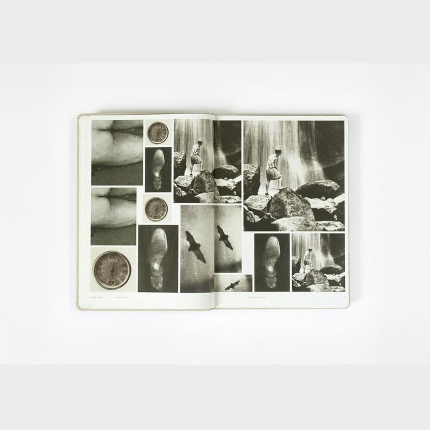 Book: Hunting In Time