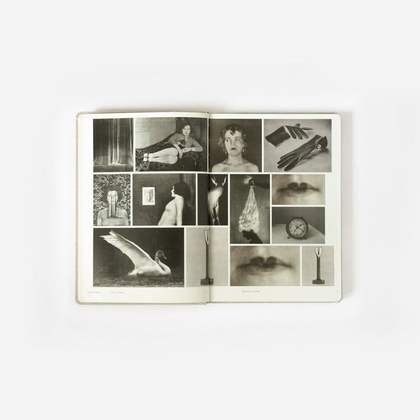 Book: Hunting In Time