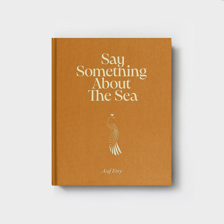 Book: Say Something About the Sea
