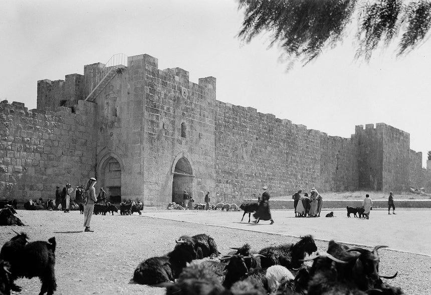 Herod's-Gate Jerusalem