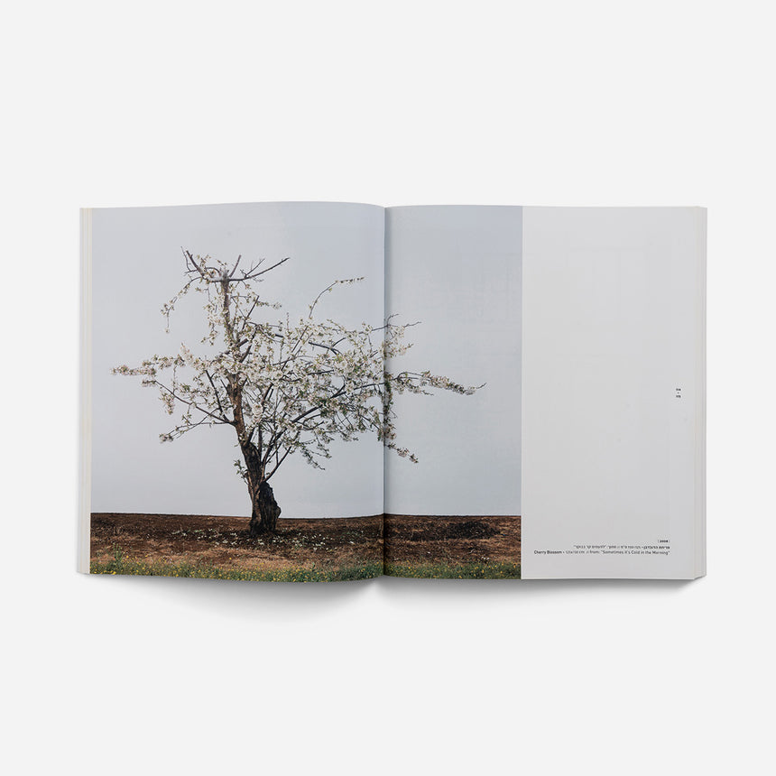 Book: Tal Shochat