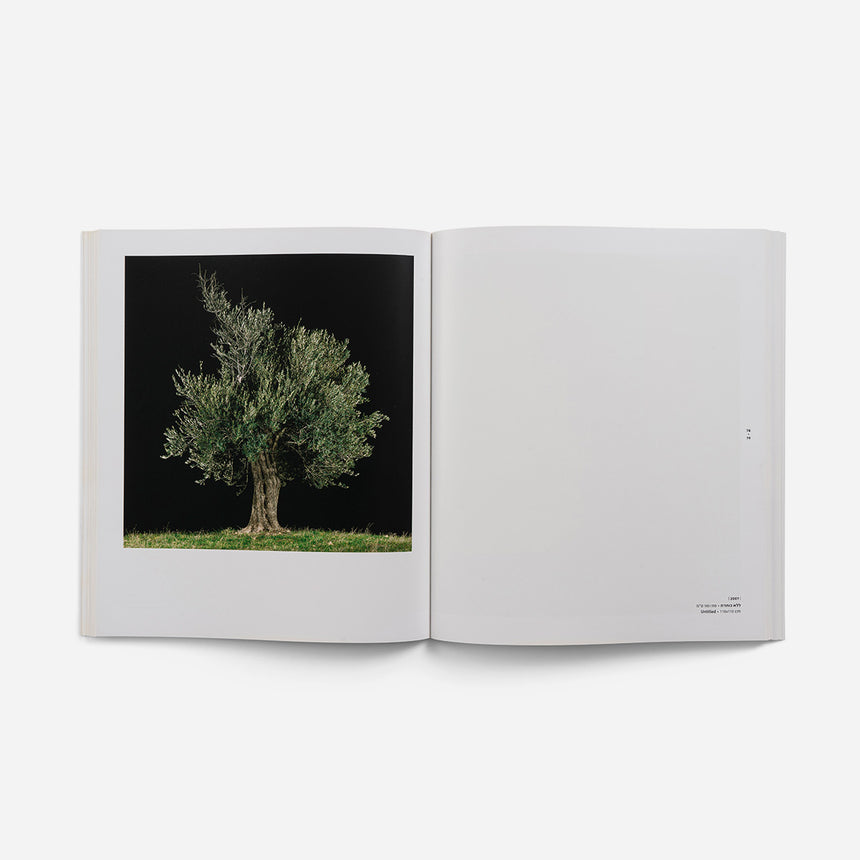 Book: Tal Shochat