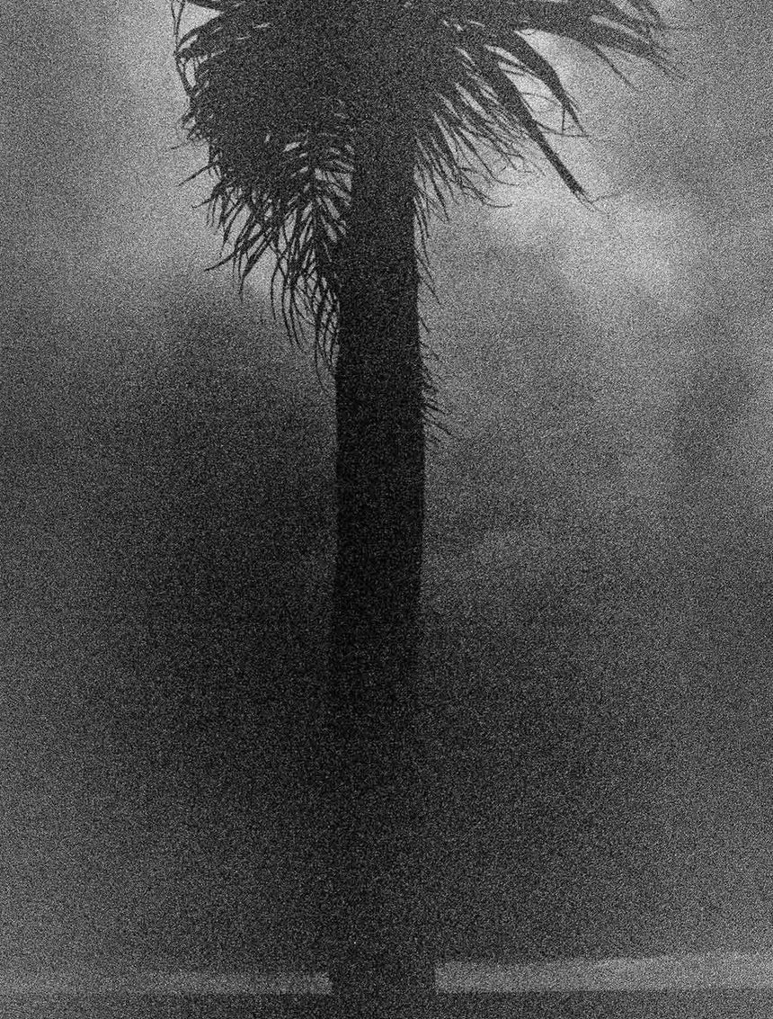 Dark Waters #23