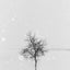 Days Before Darkness #5 - 2/5