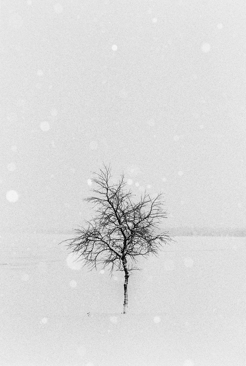 Days Before Darkness #5 - 2/5