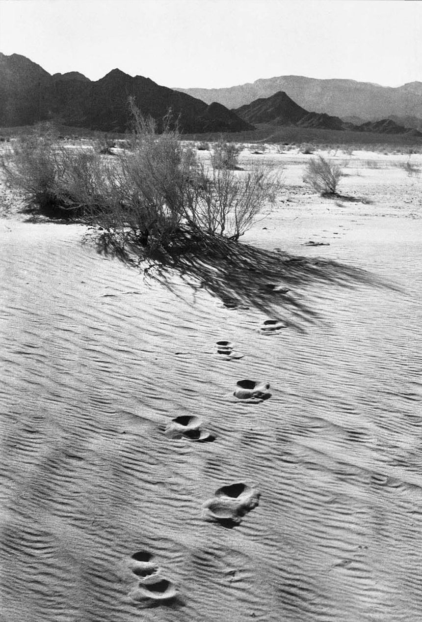 Footsteps in the Desert