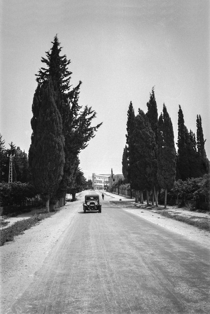 The Road to Petach-Tikva