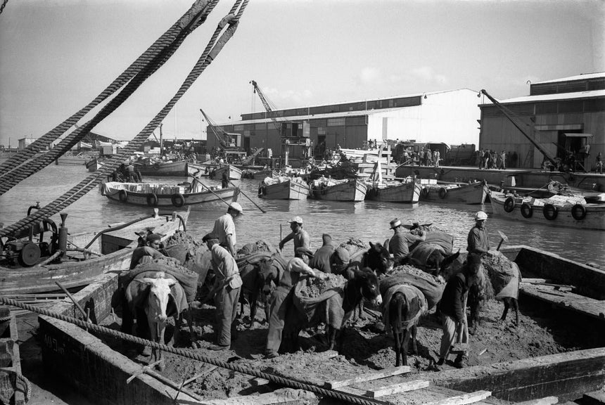Workers at Tel Aviv Harbor