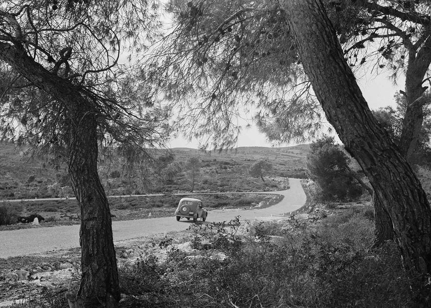 A car in the Carmel Mountains