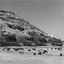 Haifa