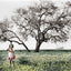 The Girl & the Tree - Colorized