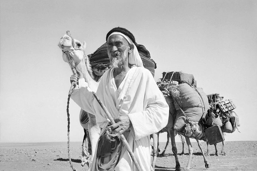 Bedouin & Camals