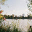 A look from the bushes