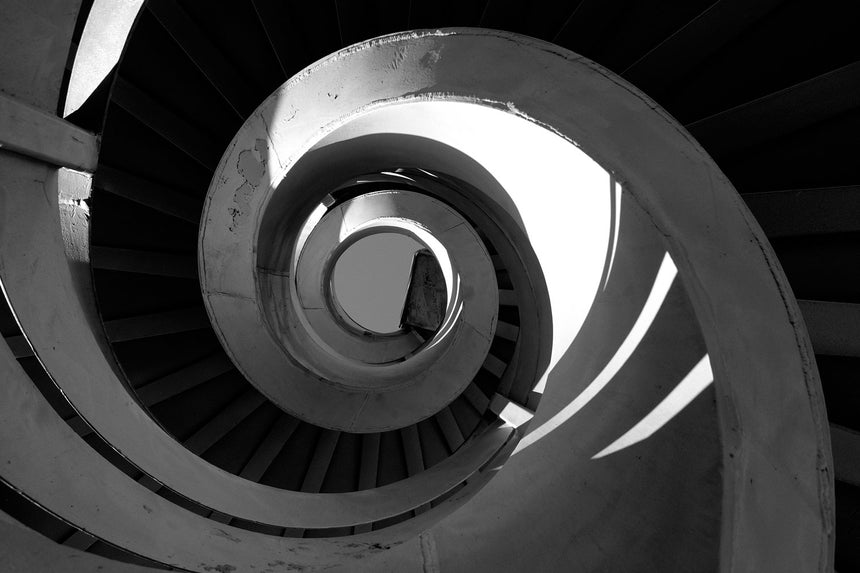 The eye