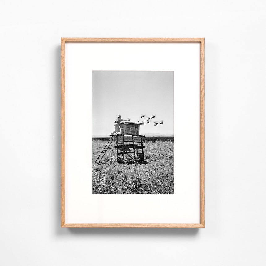 Light oak frame