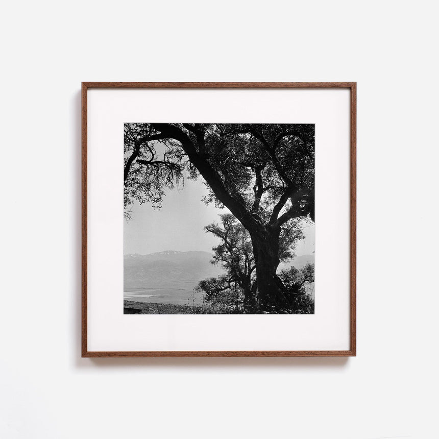 Dark oak frame