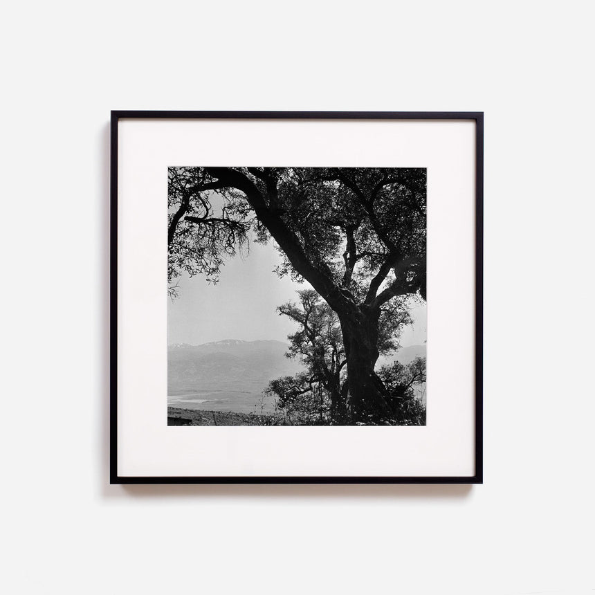 Black frame