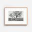 Light oak frame