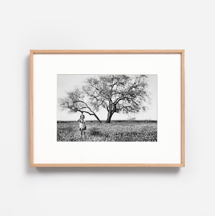 Light oak frame