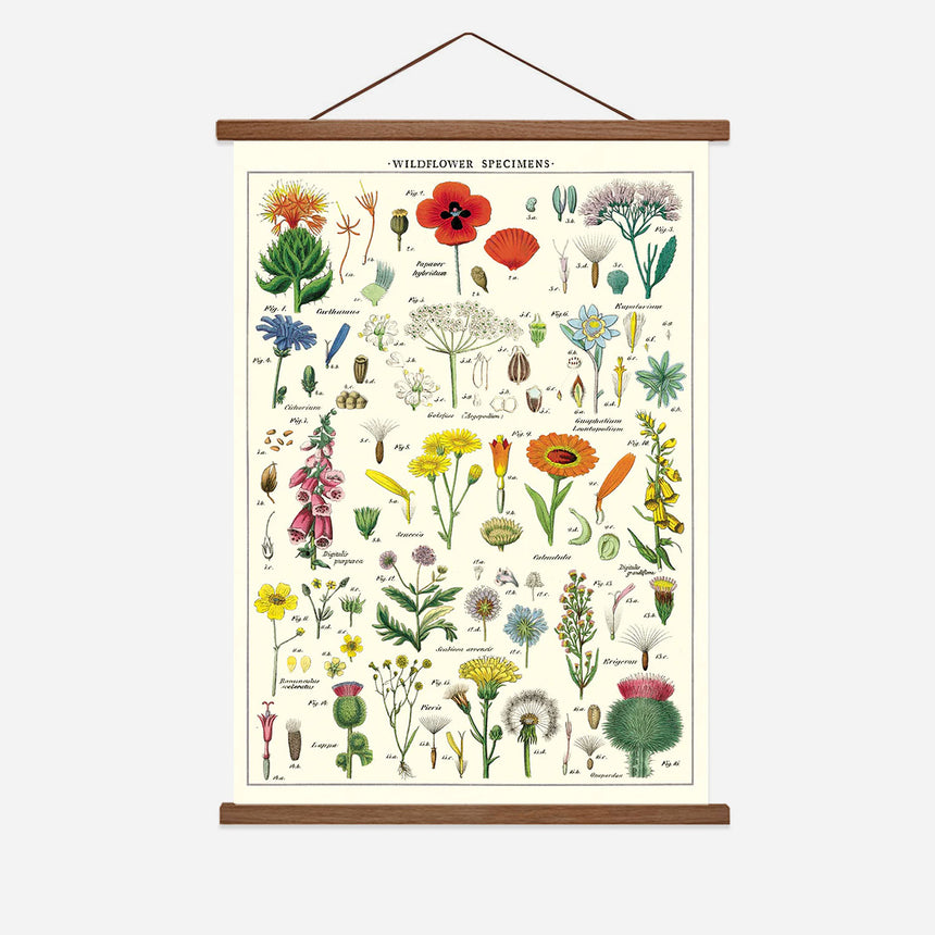 Wildflowers Vintage Poster