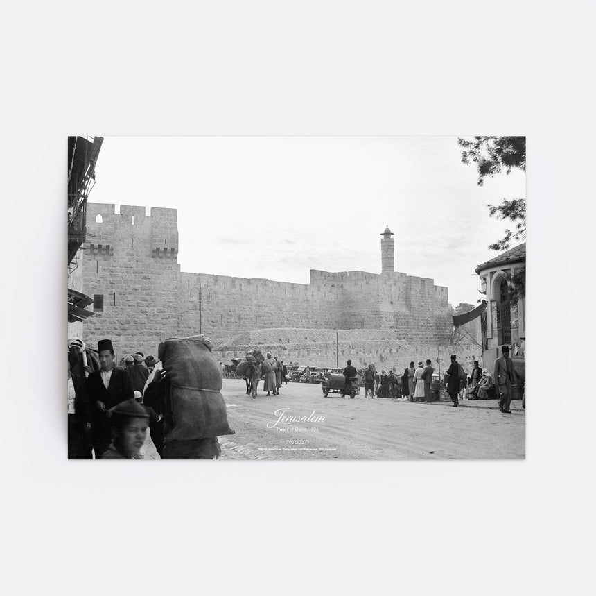 Tower of David Poster - SALE!