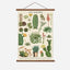 Succulents Vintage Poster