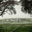 2 Photos 60x90