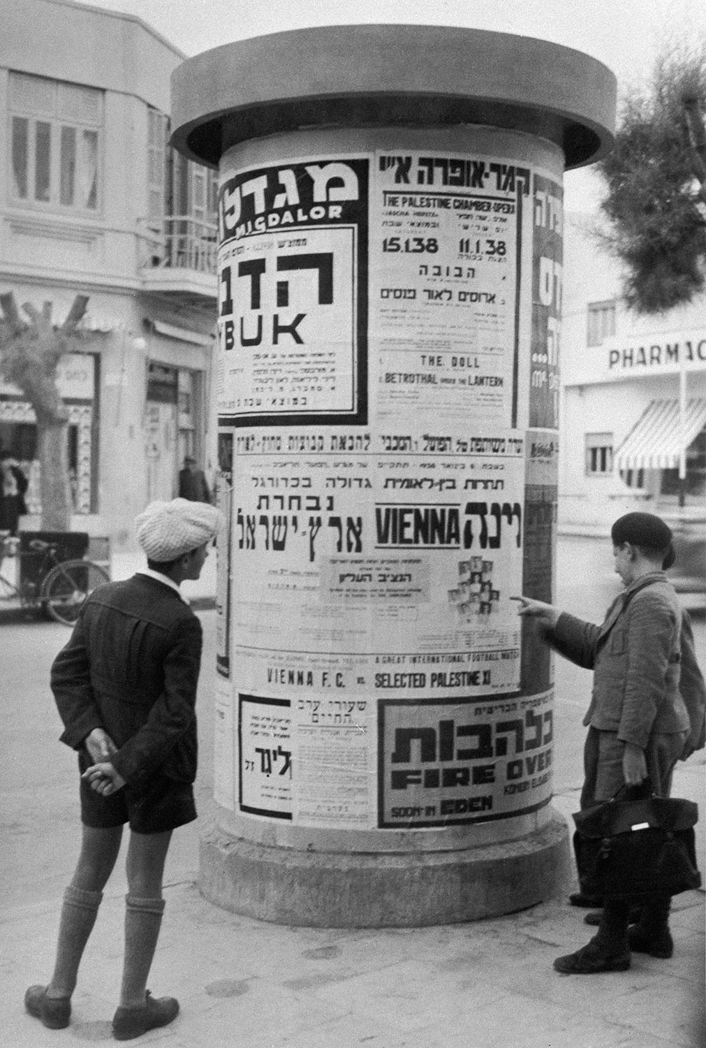 Looking at a Bulletin Board The Photohouse