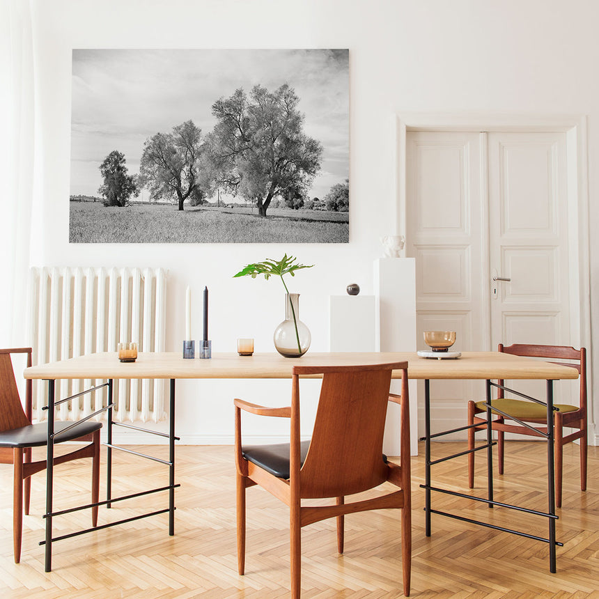 Trees in your dining room