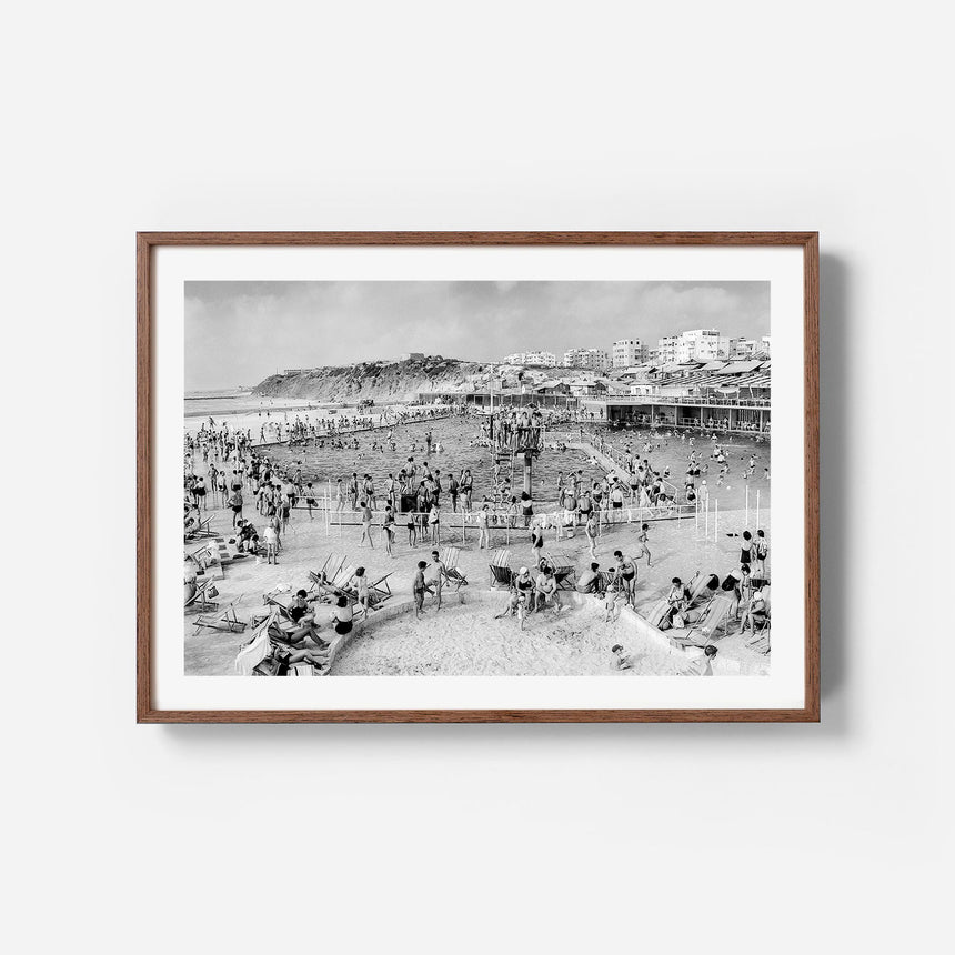 Wengé frame