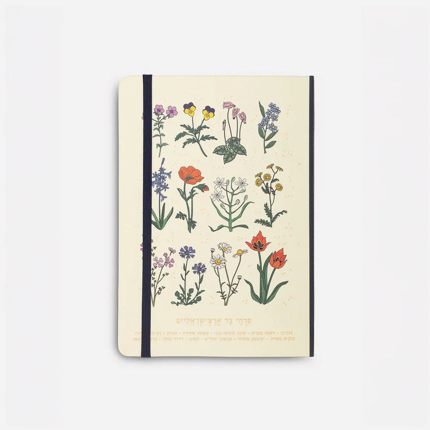 Wild Chart Notebook