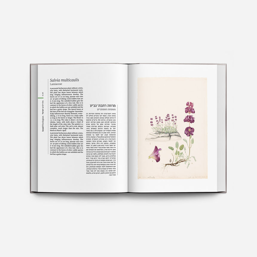 ספר: פלורילגיום ישראלי