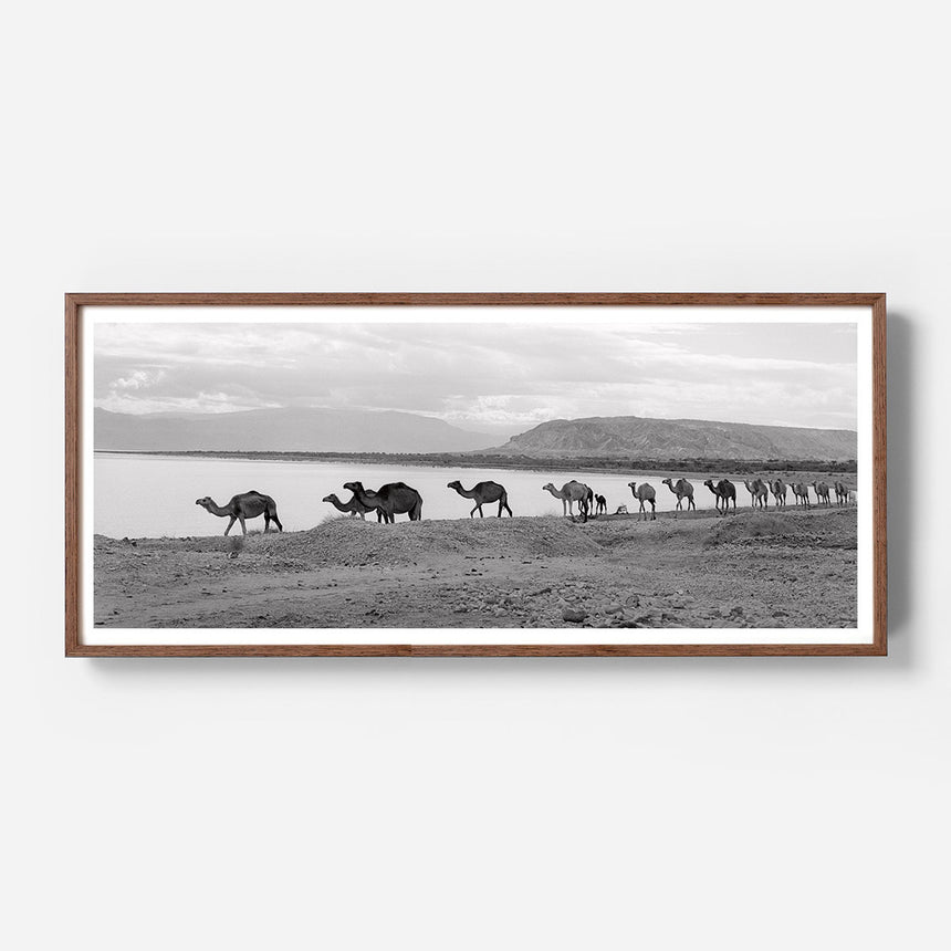 Dark oak frame