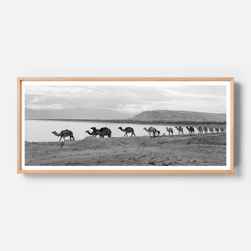 Light oak frame
