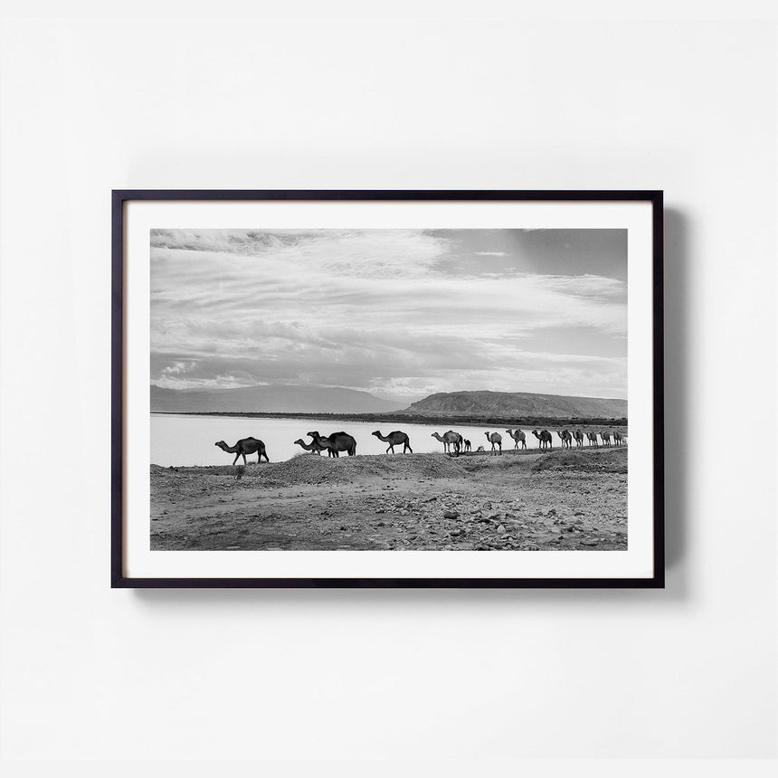 Black frame