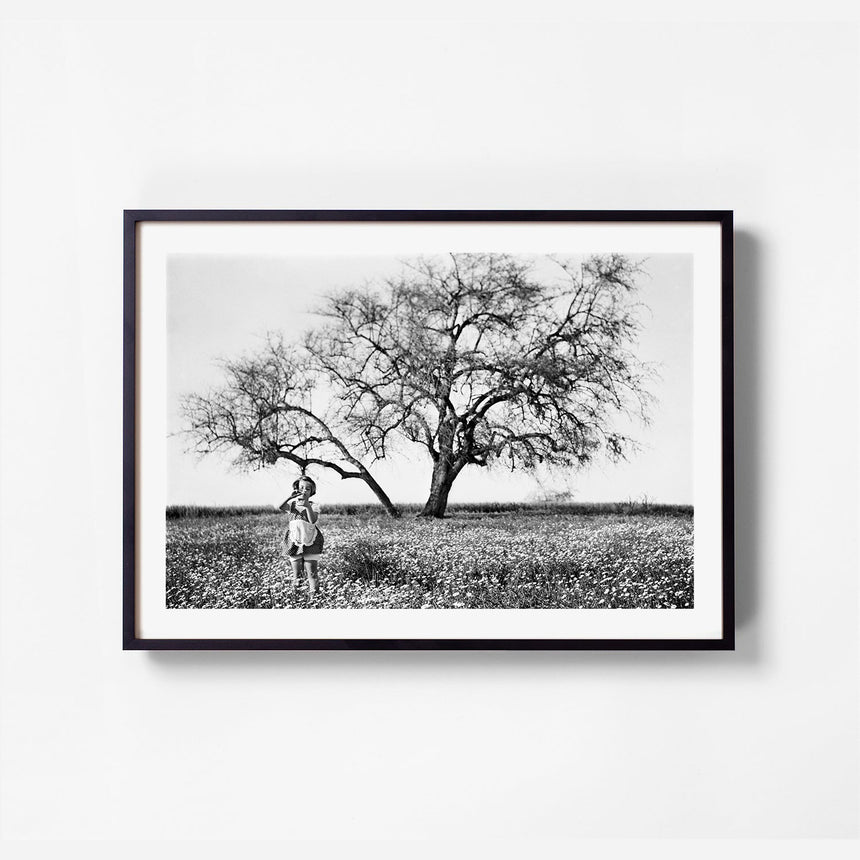 Black frame