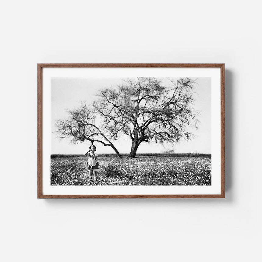 Wengé frame