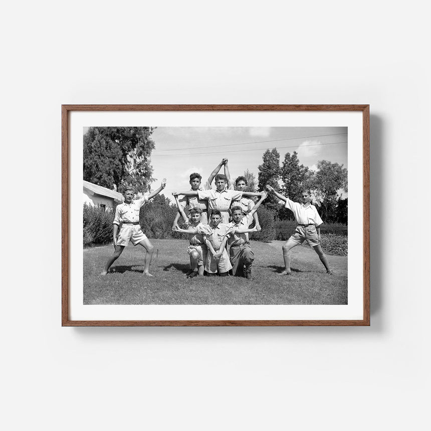 Wengé frame