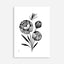 Flowes by Jenny