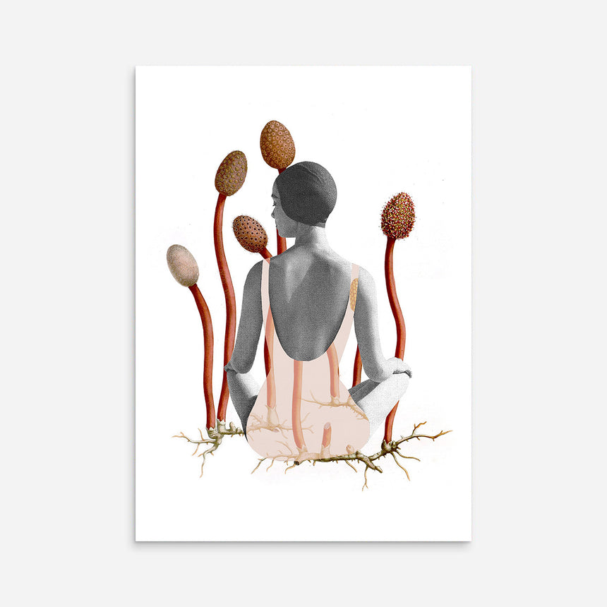 בוטני - אורית כלב