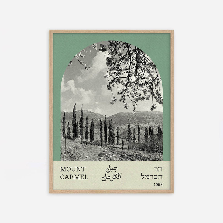הר הכרמל - 15x20