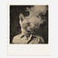 Animal Portrait Polaroid Set