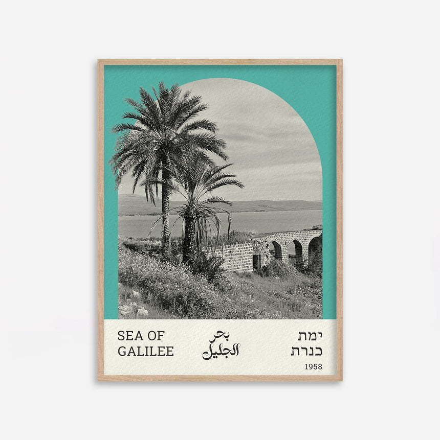 כנרת - 15x20