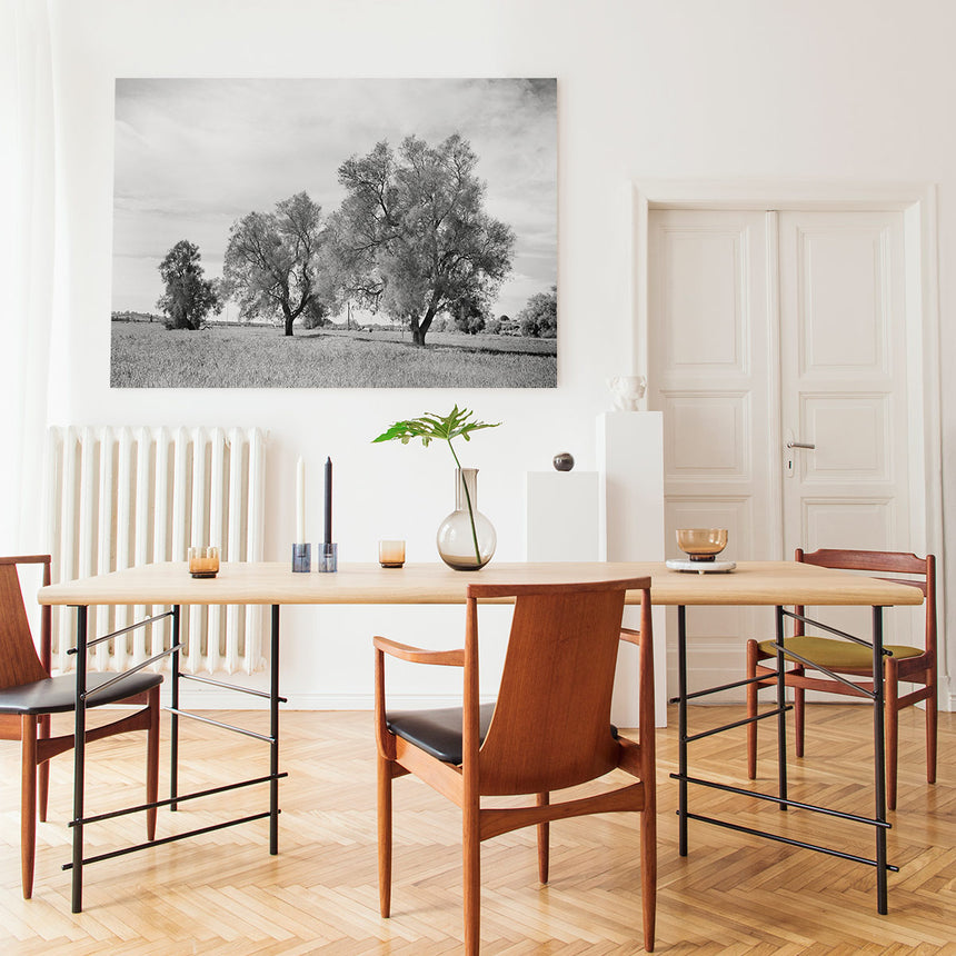 Trees in the dining room