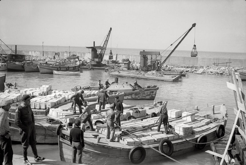 Workers at Tel Aviv Harbor