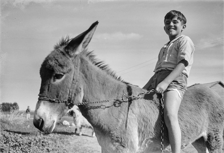 A Boy on a Donkey